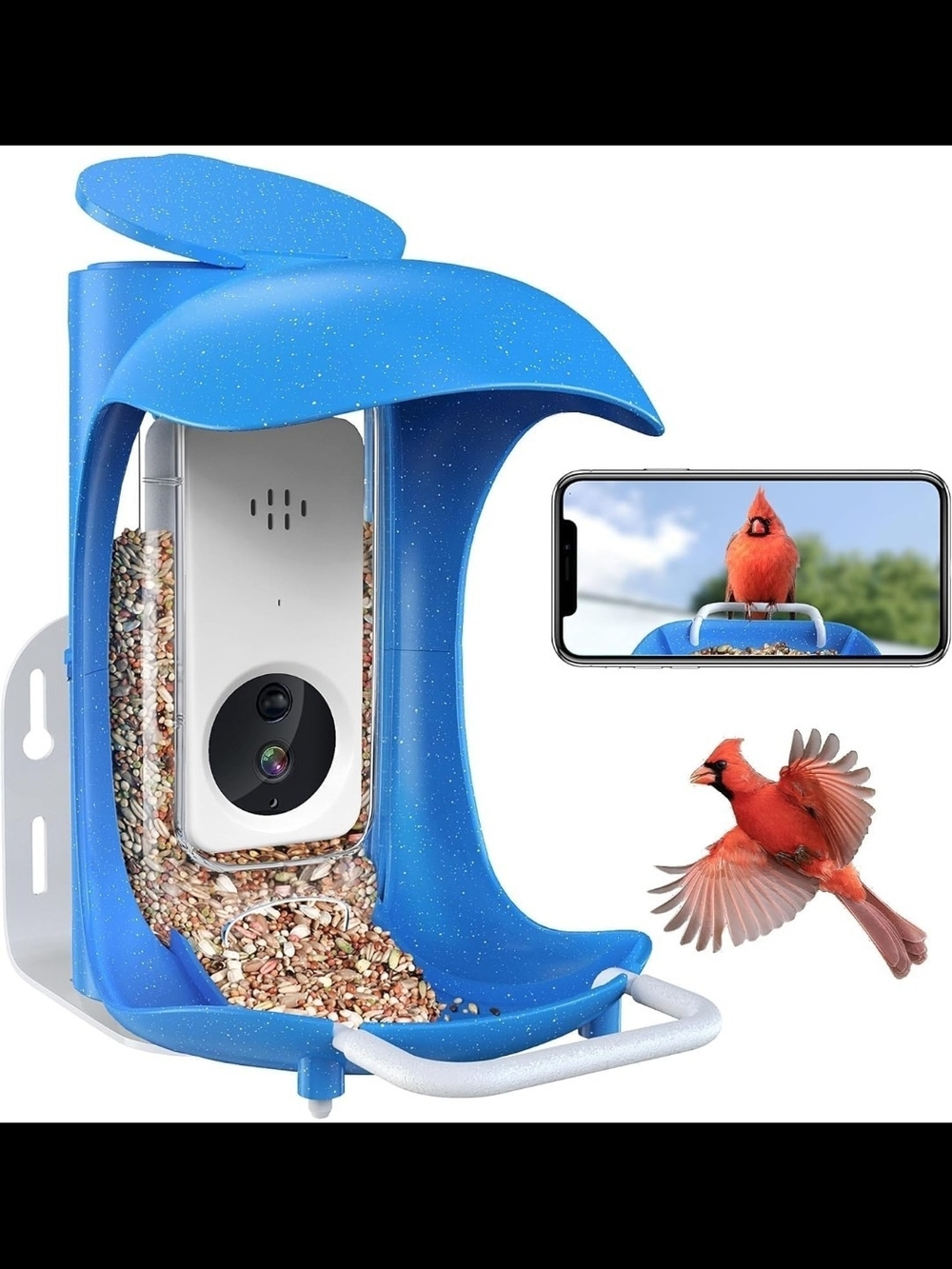 Blue Bird Camera Feeder with Integrated Seed Tray